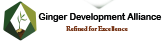 GINGER DEVELOPMENT ALLIANCE LTD