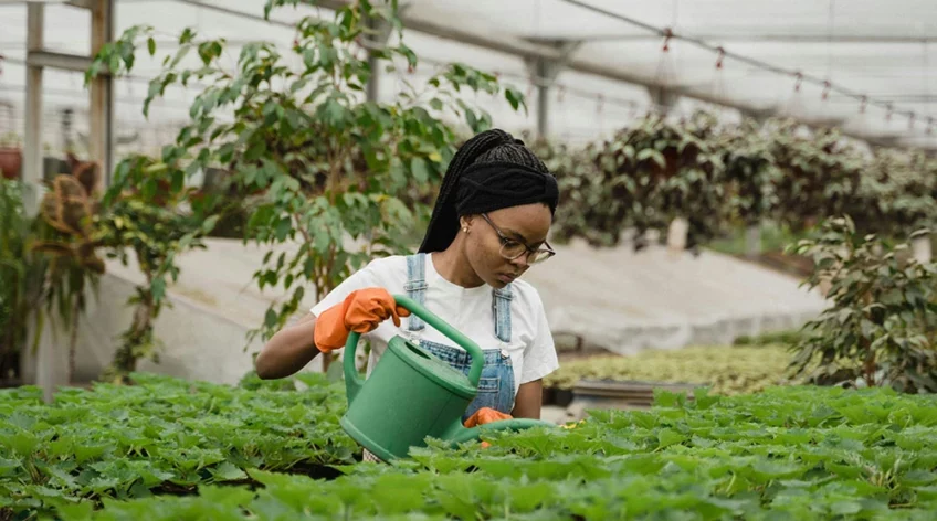 Ultrices sagittis orci a scelerisque purus semper eget duis at. Sollicitudin nibh sit amet.