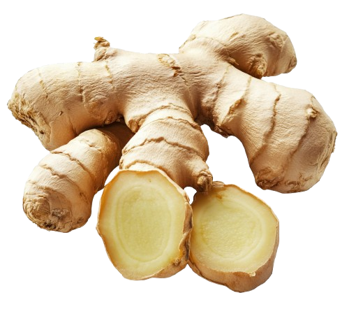 Transforming the Sector: The Launch of the Ginger Development Alliance (GDA)